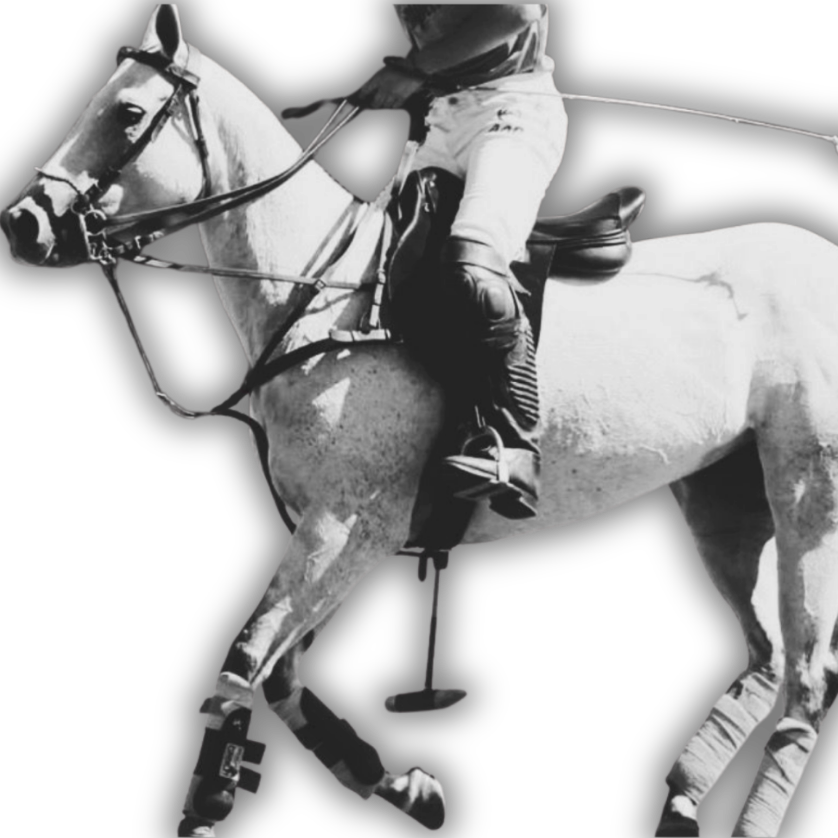 Polo player on horseback